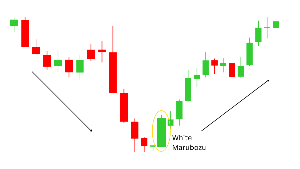 white marubozu candlestick pattern chart