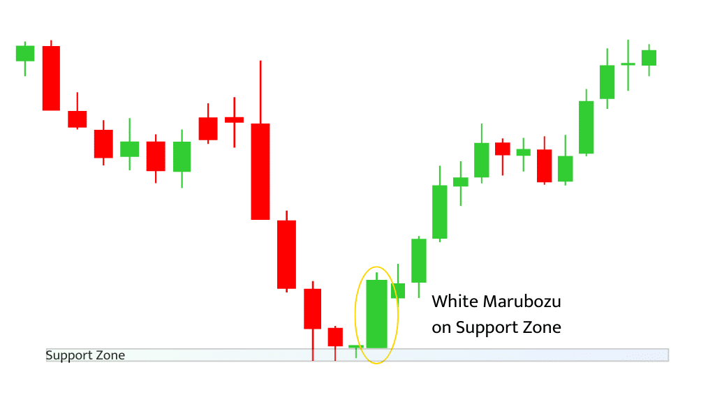 White Marubozu Candlestick Pattern on support